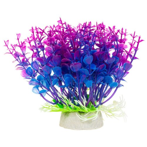 Растение Микрантемум сине-фиолетовый пластик 55см