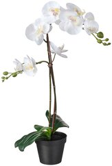 ИКЕА Орхидея искусственная ФЕЙКА 60371960, 58 см 1 белый 12 см 12 см