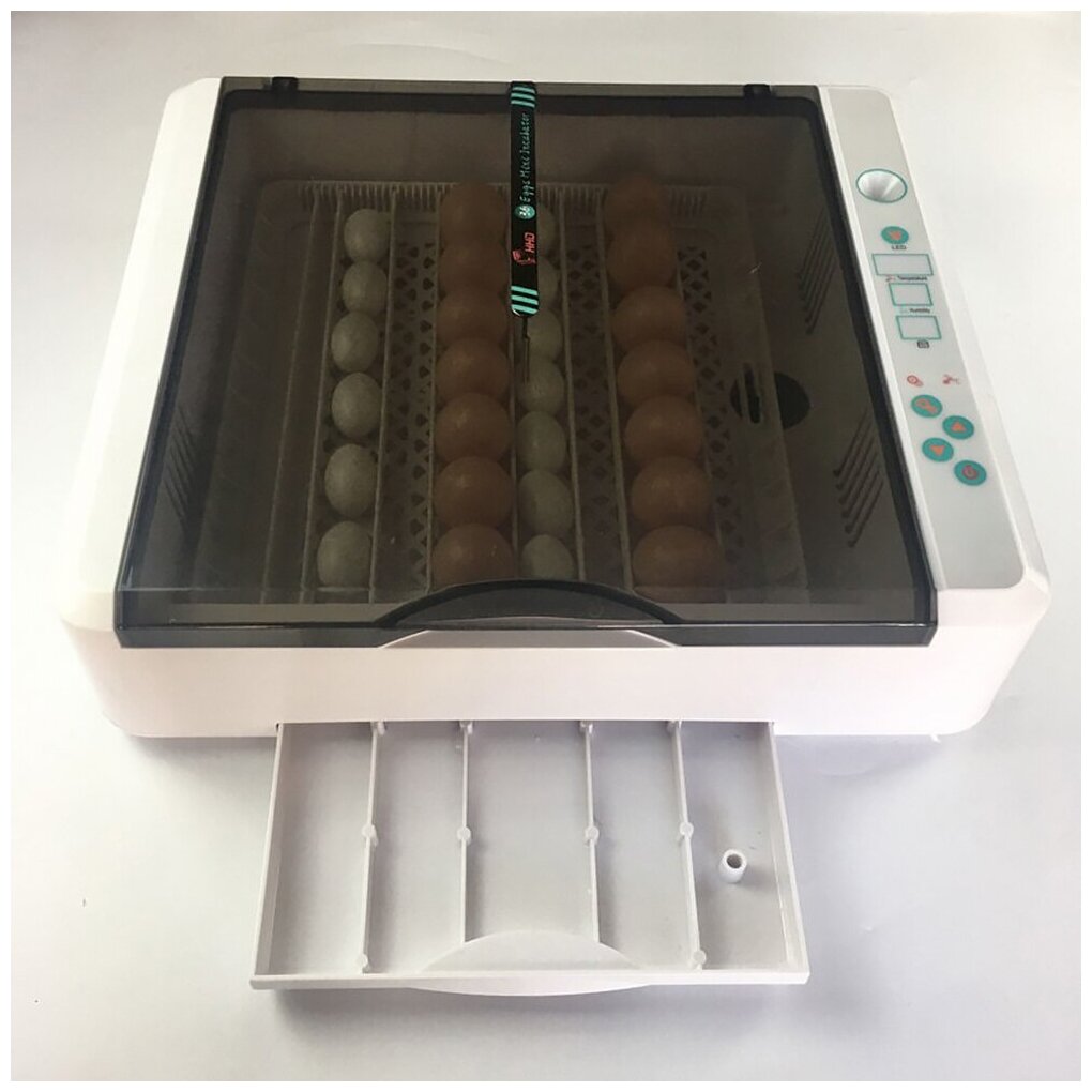 Инкубатор HHD 36 автоматический для яиц с овоскопом - фотография № 5