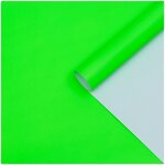 Бумага глянцевая, зеленая, 0,5 х 0,7 м,2 листа - изображение
