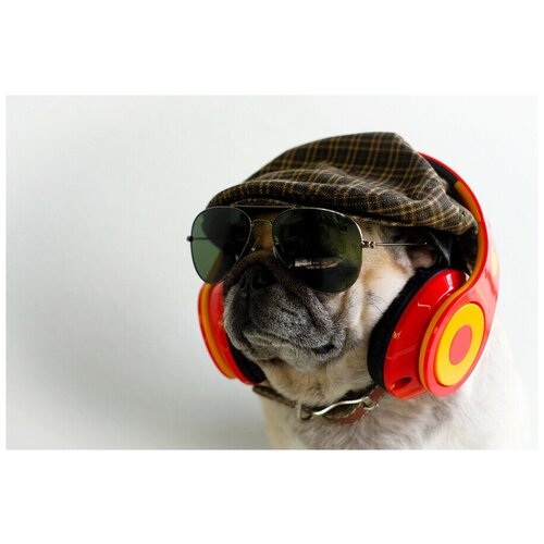 Интерьерная картина-обогреватель WarmART Бульдог меломан-стиляга 60х100 см 600000₽