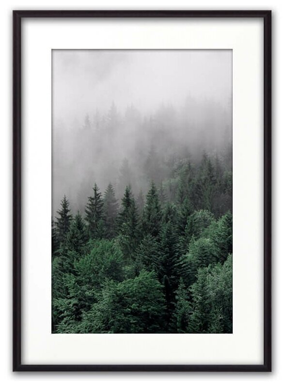 Постер в рамке Бирюзовый лес, 30х40 см