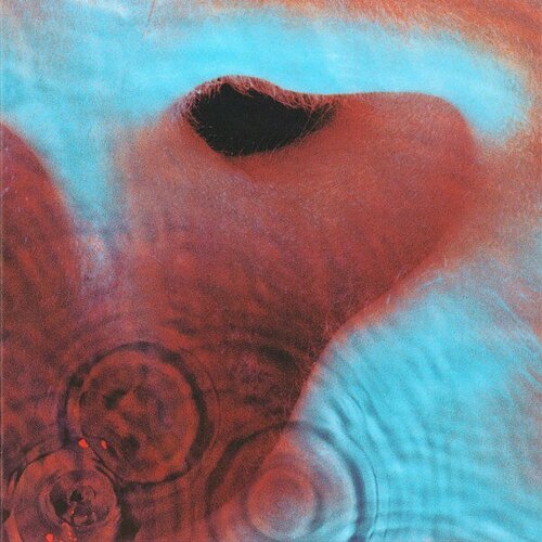 pink floyd pink floyd meddle 180 gr Компакт-диск Warner Pink Floyd – Meddle