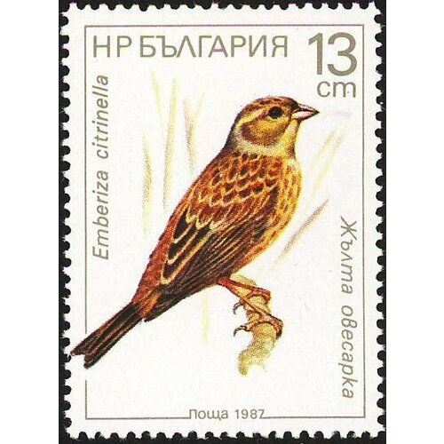 (1987-073) Марка Болгария Овсянка обыкновенная Птицы II Θ