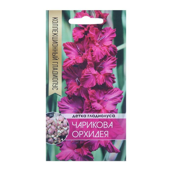 Добрый урожай Клубнепочка гладиолуса Чарикова Орхидея (ярко-розовый) 5 шт.