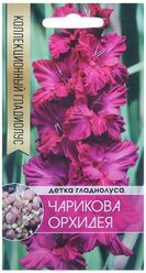 Клубнепочка гладиолуса Чарикова Орхидея (ярко-розовый), 5 шт.
