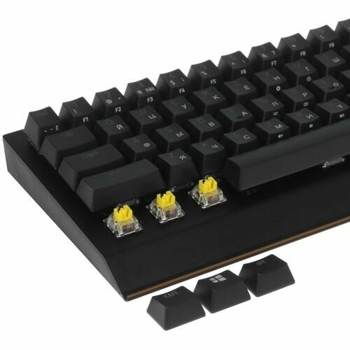 Клавиатура Razer BlackWidow V3 Mini HyperSpeed Green Switch (RZ03-03891600-R3R1) - фото №15