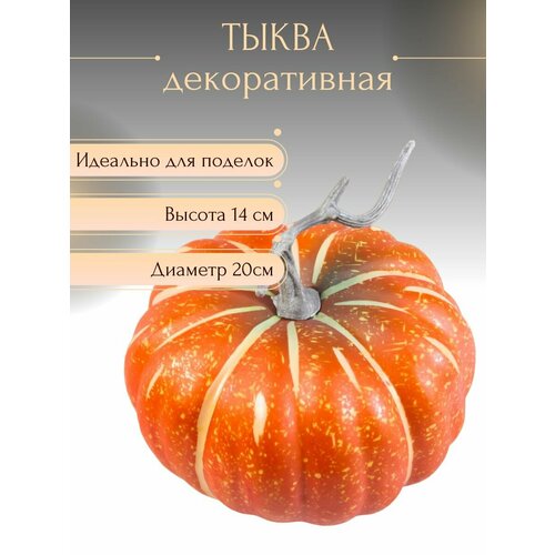 Осенняя тыква от бренда VIVA PLANTS