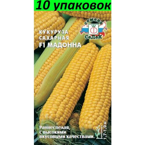 Семена Кукуруза Мадонна F1 сахарная раннеспелая 10уп по 4г (Седек) семена кукуруза лакомка сахарная раннеспелая 10уп по 5г седек