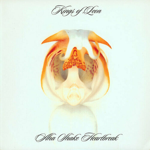 Виниловая пластинка Kings of Leon: Aha Shake Heartbreak (Vinyl). 2 LP виниловая пластинка kings of leon виниловая пластинка kings of leon walls lp