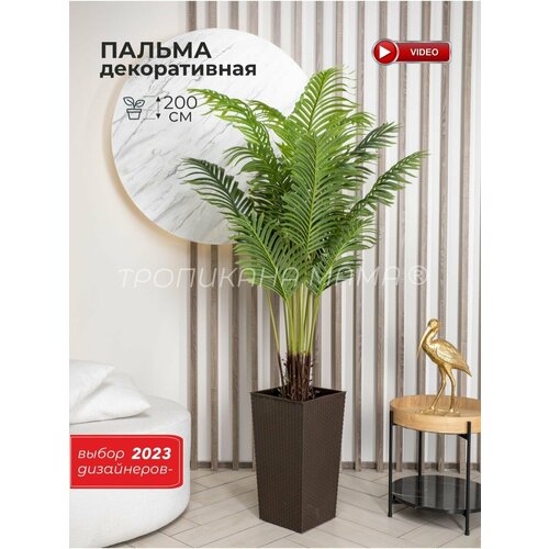 Искусственное дерево пальма