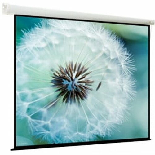 Экран Viewscreen моторизированный Breston (4:3) 305*229 (297*221) MW