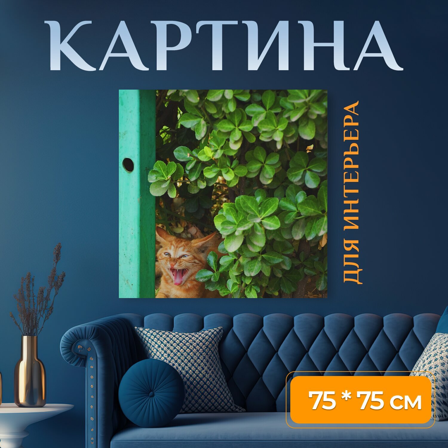 Картина на холсте "Кошка, животное, оранжевый кот" на подрамнике 75х75 см. для интерьера