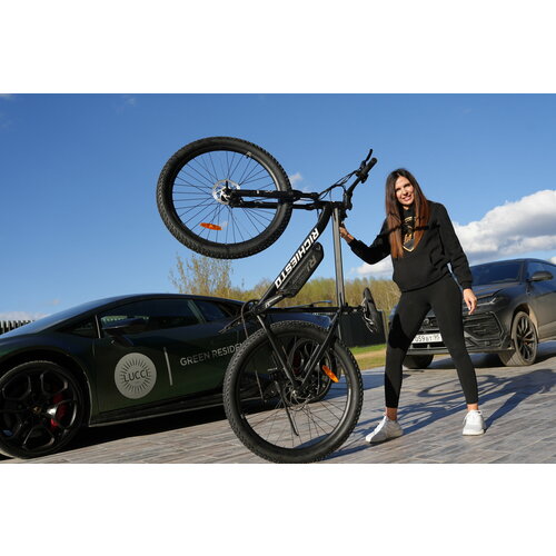 Электровелосипед полуфэтбайк Richiesto 297S Алюминиевая рама 21 36V12AH Спортивный Взрослый черный 57000₽