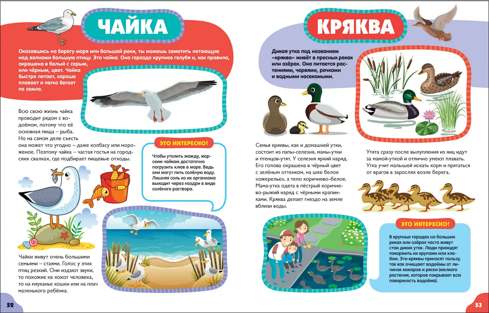 Птицы для самых маленьких (Забирова Анна Викторовна) - фото №11