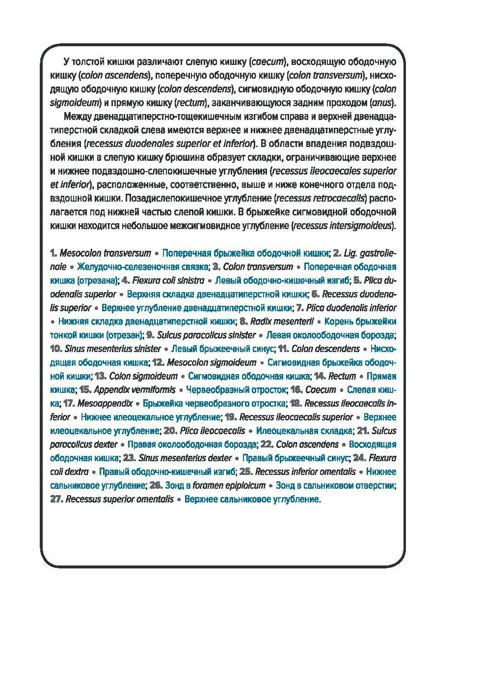 Анатомия человека. Спланхнология. Карточки (49 шт.) - фото №13