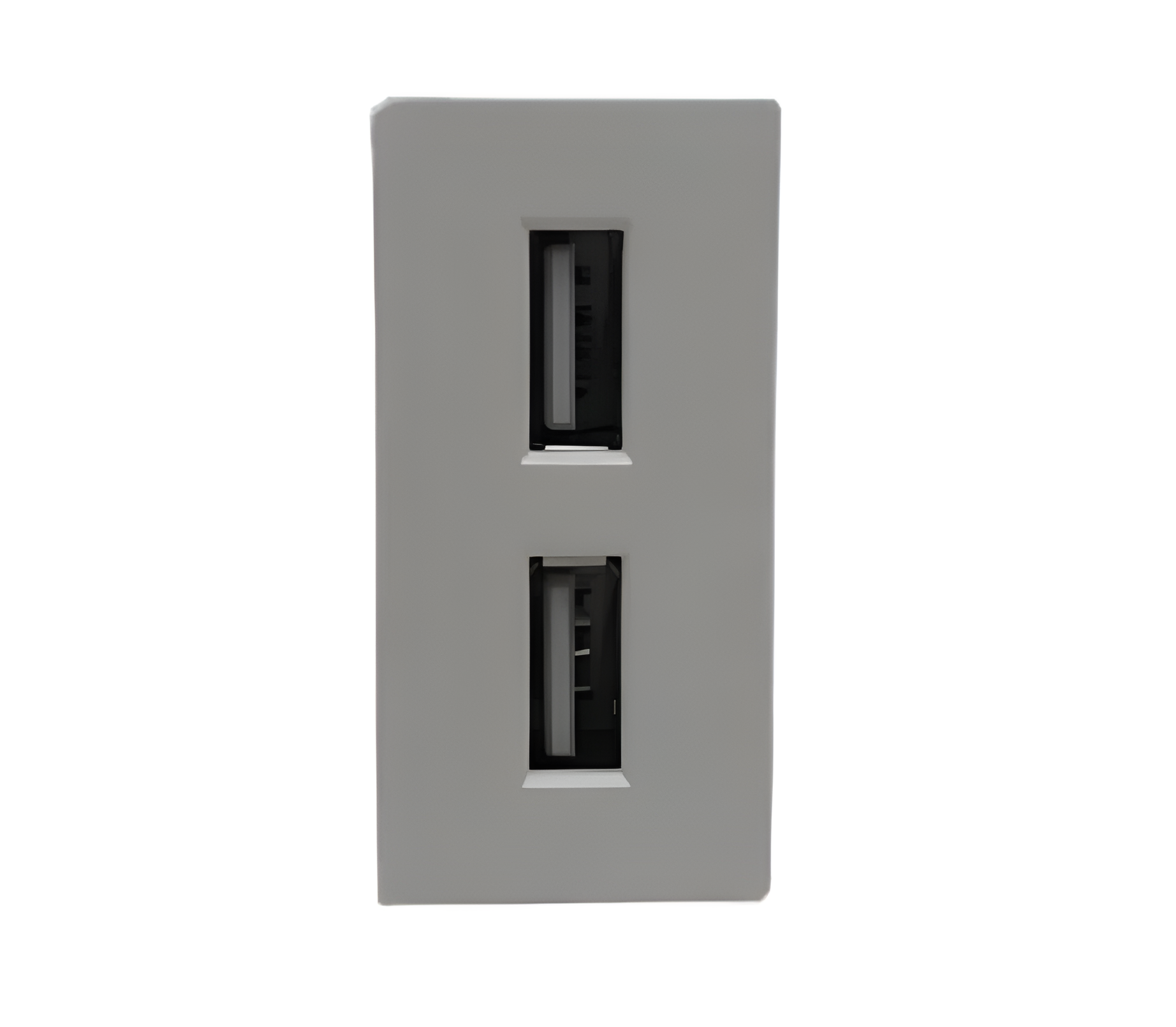 фото Модуль 2 USB белого цвета