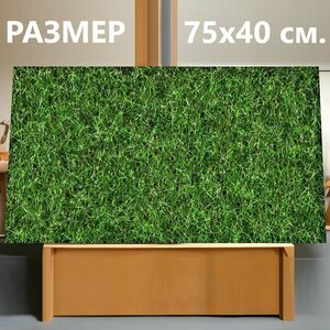 Картина на холсте "Трава, футбол, лужайка" на подрамнике 75х40 см. для интерьера