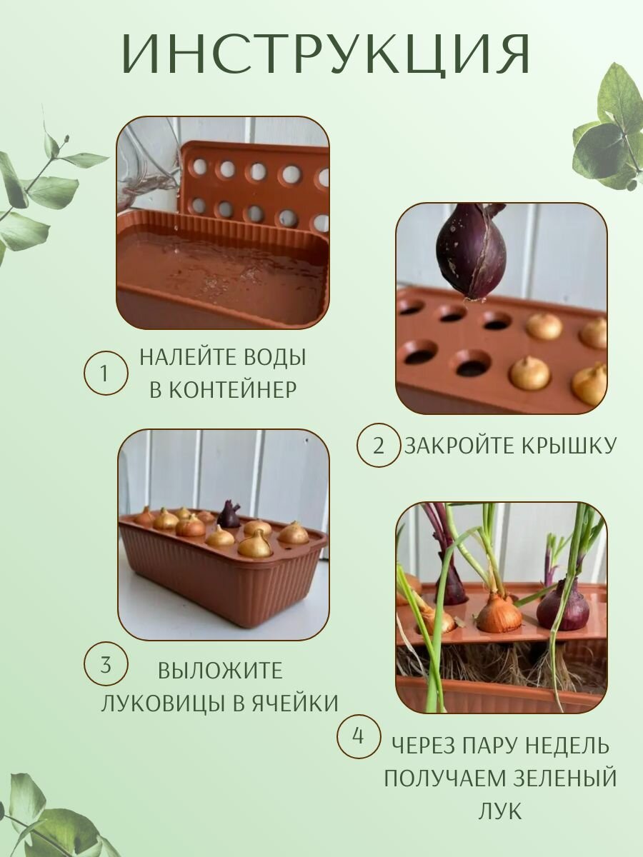 Изображение Набор для выращивания, лоток для зеленого лука, 2 шт, цвет микс