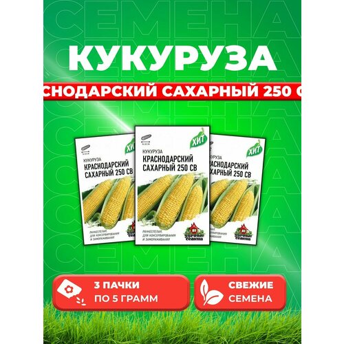 удачные семена кукуруза краснодарский сахарный 250 св f1 5 грамм Кукуруза Краснодарский сахарный CВ 250 F1 5 г. ХИТ х3 (3уп)