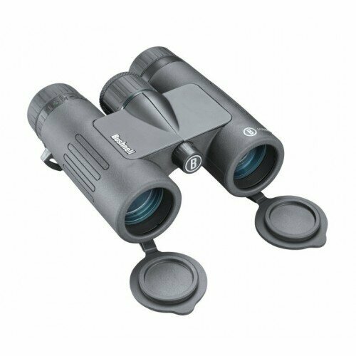 Бинокль Bushnell Prime 8X32, призмы Roof BaK-4, IPX7 BP832B Bushnell BP832B