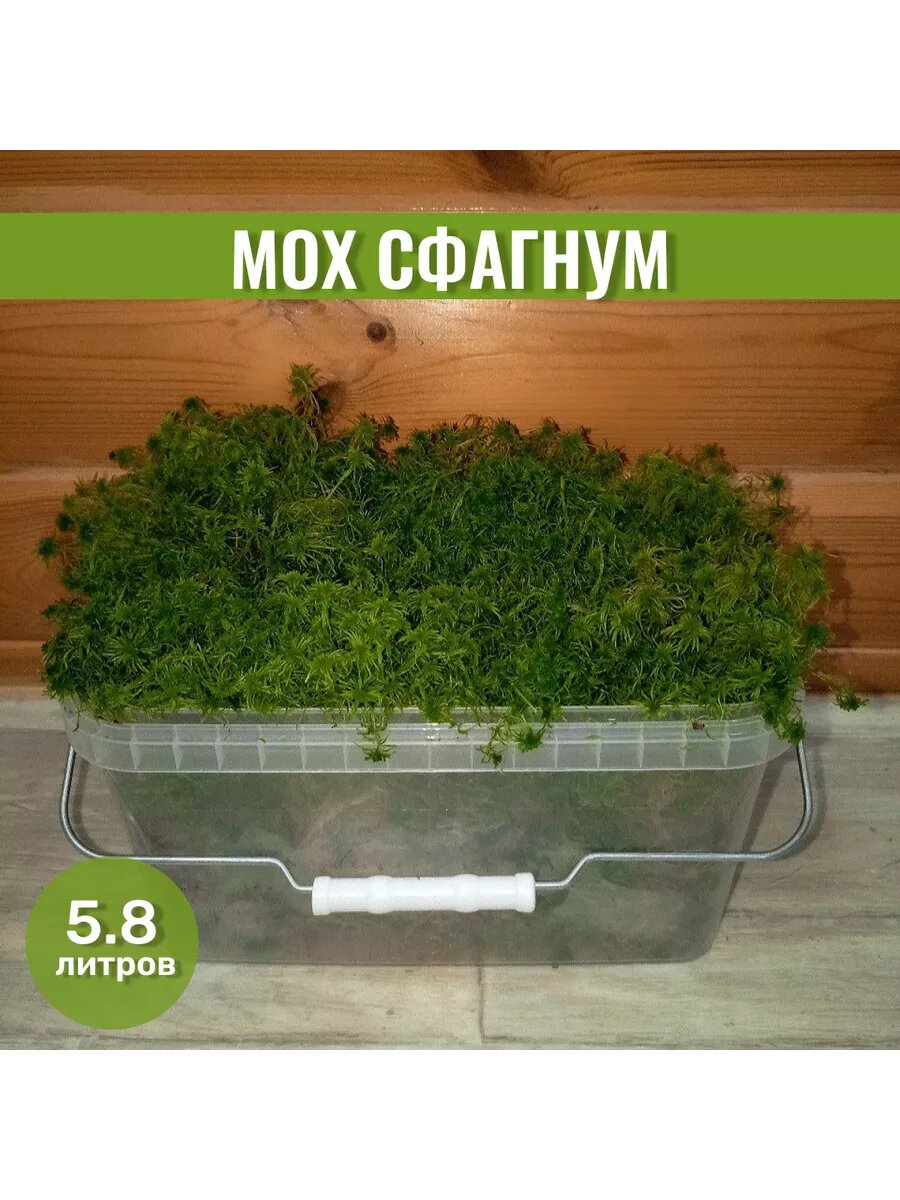 Живой мох сфагнум для улиток и орхидей 5,8л