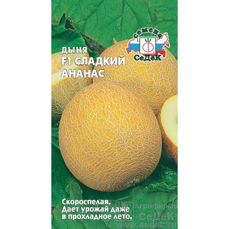 Дыня СеДеК 