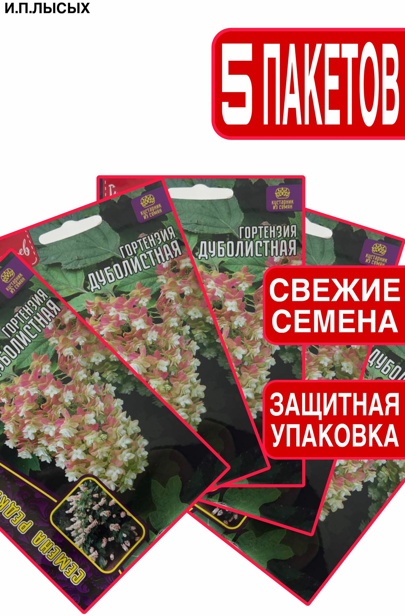 Семена Гортензия "Дуболистная"
