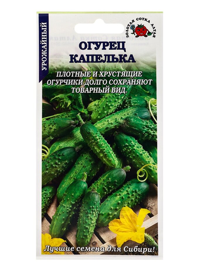 Семена Тыква Капелька  мини овощи   Сотка  0 5 г   0 8 1 3  кг   600 10942275