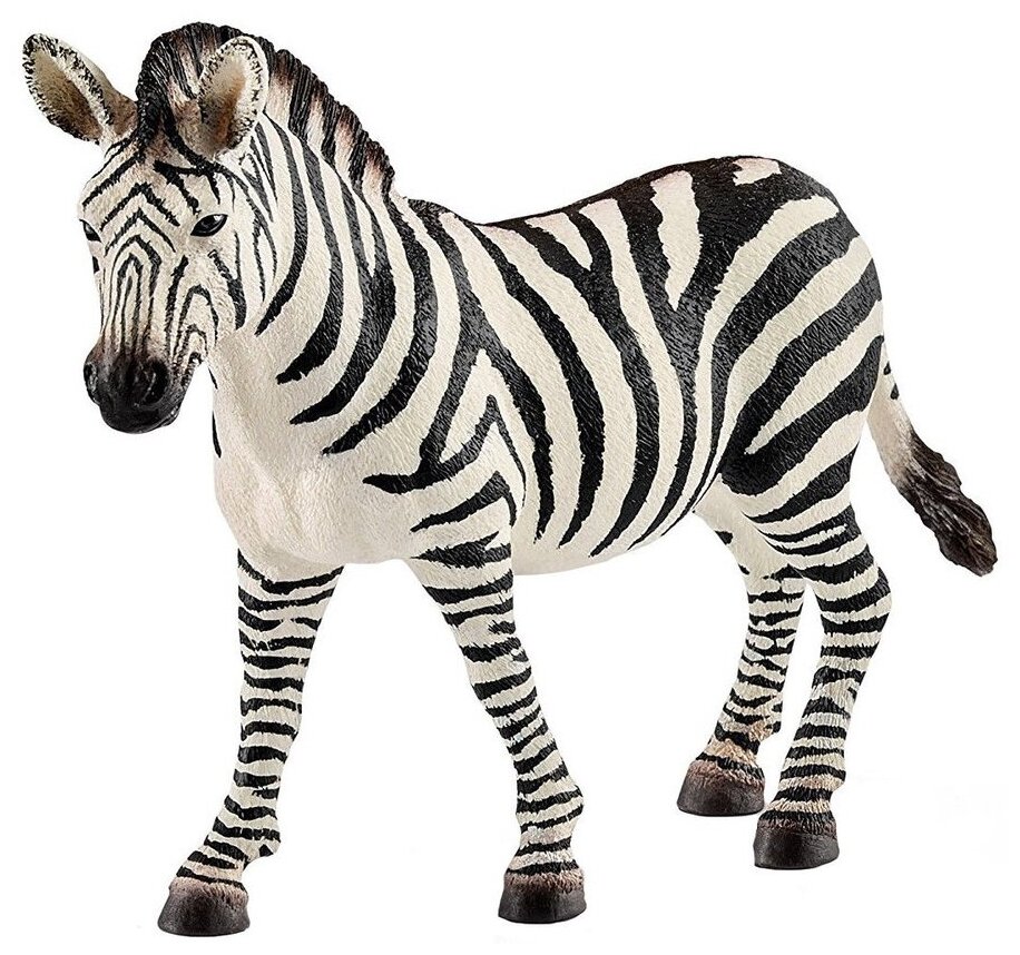 Фигурка Schleich Зебра самка 14810, 8.5 см