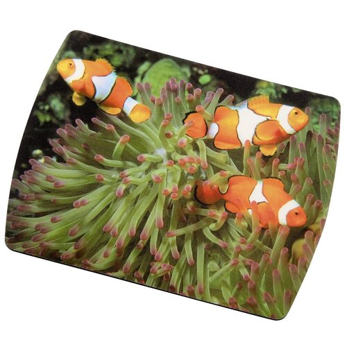 фото Коврик для мыши hama clownfish h-50259