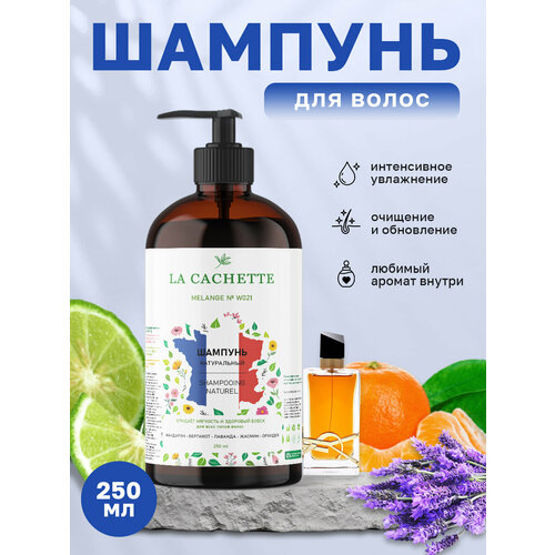 Шампунь для волос увлажняющий La Cachette W021 Libre Eau de Parfum Intense, 250 мл, с дозатором