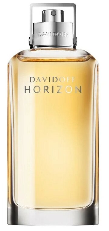 Davidoff men Horizon Туалетная вода 125 мл.