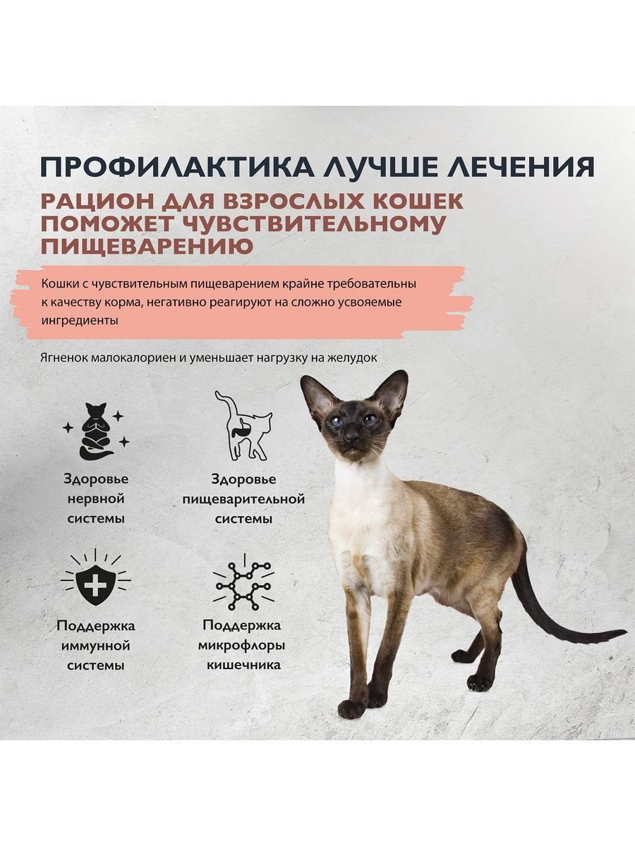 Сухой корм для кошек с чувствительным пищеварением Brit Care Cat Sensitive Healthy Digestion , с индейкой и ягненком 1,5 кг - фотография № 9
