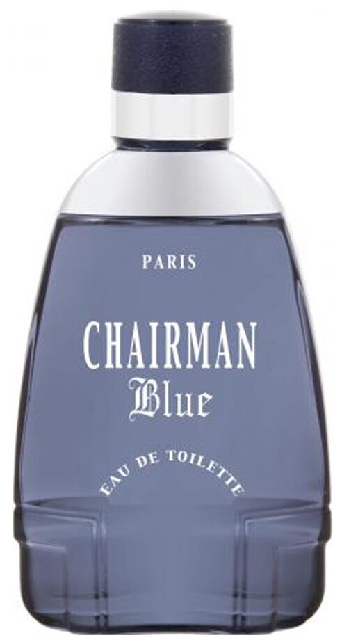 Paris bleu parfums Мужской Yves de Sistelle Chairman Blue Туалетная вода (edt) 100мл