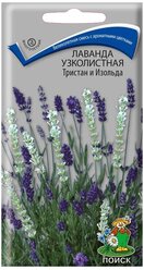 Семена ПОИСК Лаванда узколистная Тристан и Изольда 10 шт.