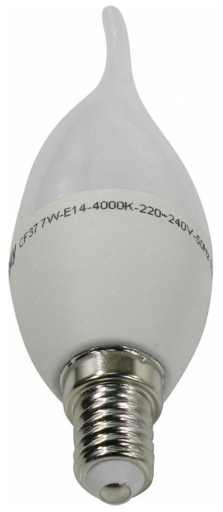 Светодиодная лампа SmartBuy "Свеча на ветру" матовая, C37, 7 Вт, 4000K, E14
