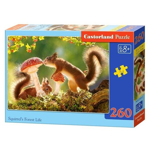 Пазл Castorland Squirrel's forest life (B-27521), 260 дет. пазл castorland mountain ride b 27477 260 дет разноцветный