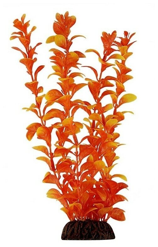Растение LAGUNA Людвигия оранжевая, 100мм