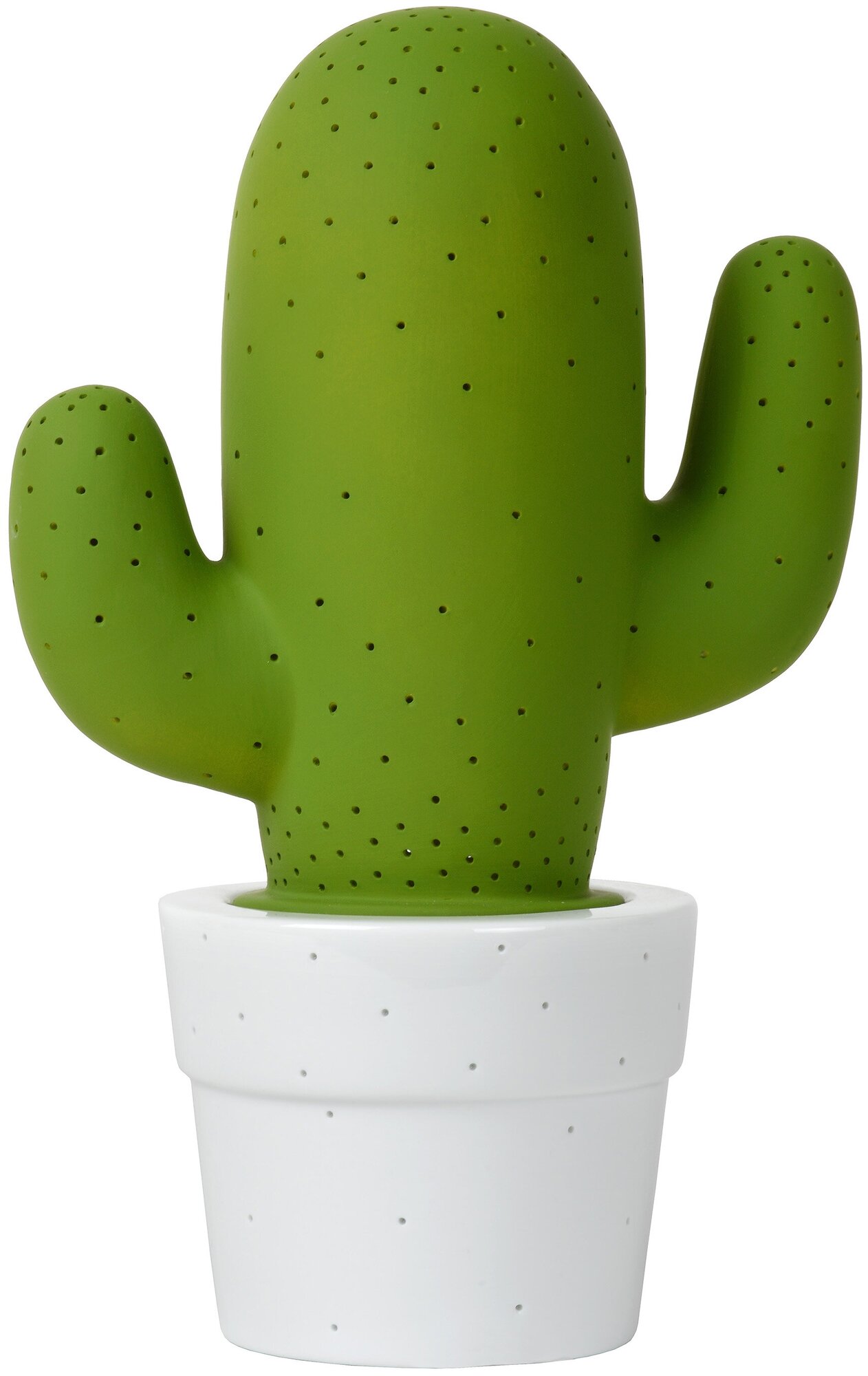   Lucide Cactus 13513/01/33