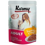 Влажный корм для кошек Karmy с курицей 80 г (кусочки в соусе) - изображение