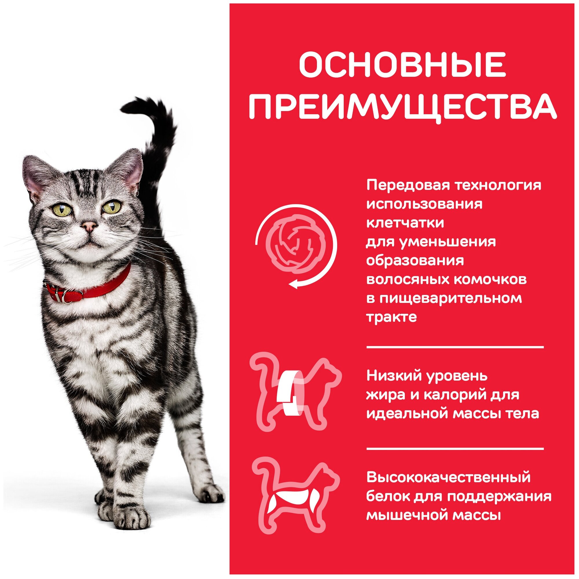 "Сухой корм Hill's Science Plan Hairball Indoor для выведения шерсти из желудка у домашних кошек, с курицей, 10 кг" - фотография № 6