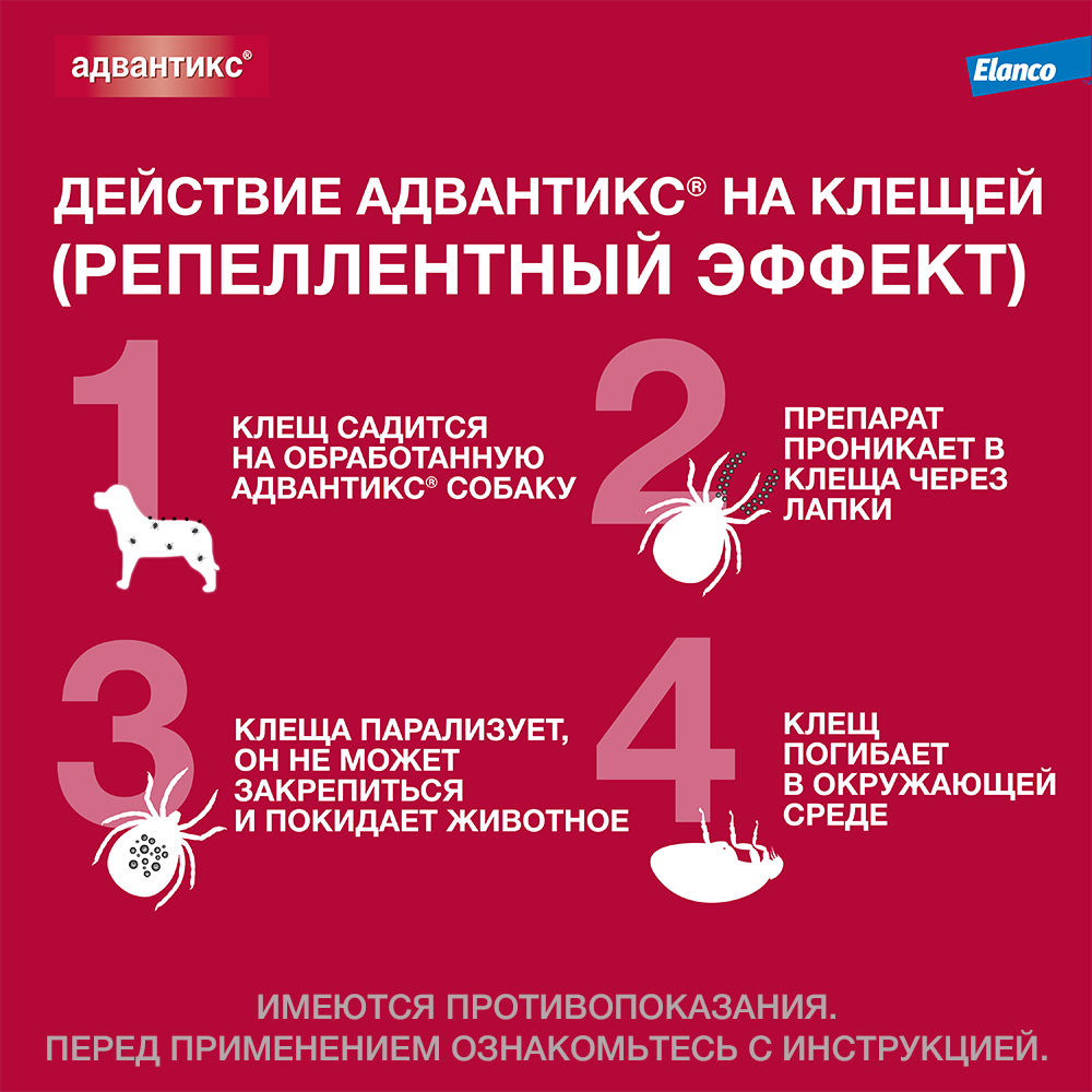 Капли для собак BAYER - фото №5
