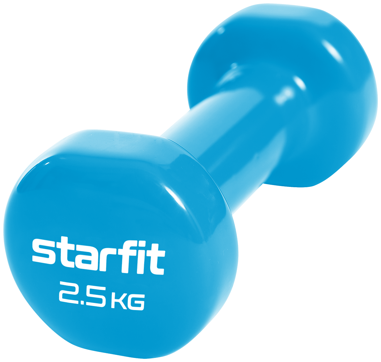 Гантель виниловая Starfit Db-101 2,5 кг, синий