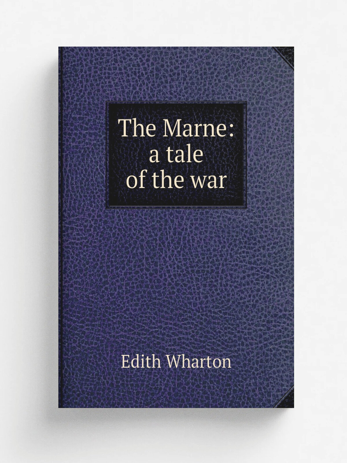 The Marne: a tale of the war