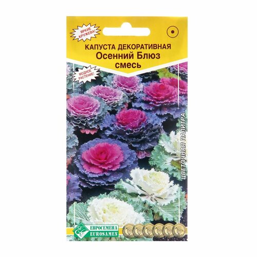 Семена цветов Капуста декоративная Осенний блюз смесь, 30 шт