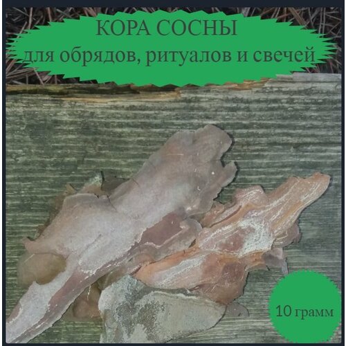 Кора сосны - для обрядов, ритуалов и свечей