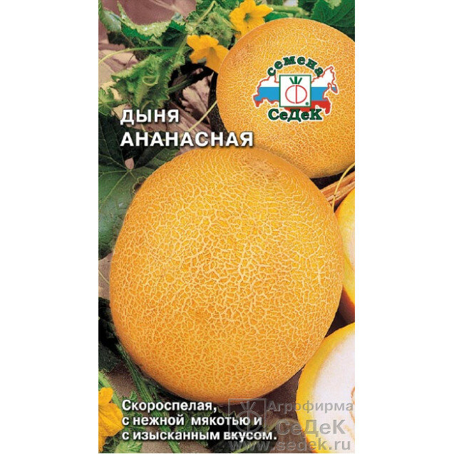 Семена дыни СеДеК  Ананасная   скороспелые  устойчивость к антракнозу