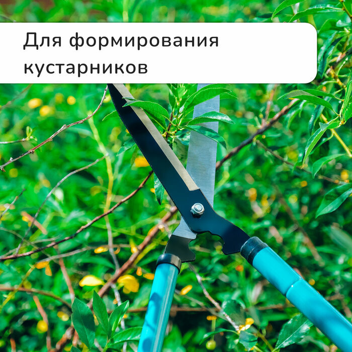 Изображение 4 шт. Кусторез, 22–28.5 (56–73 см), телескопический, с поролоновыми ручками, с чехлом, цвет микс, Greengo