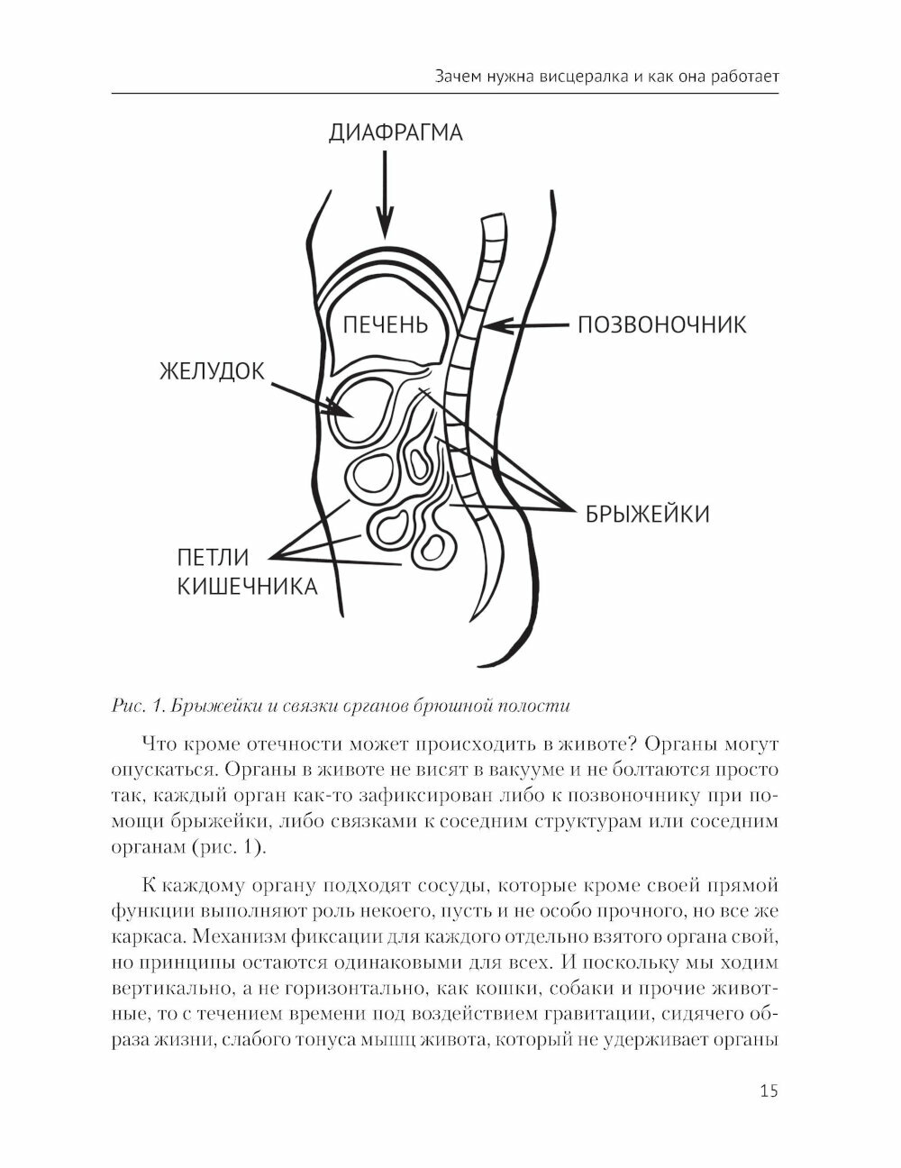 Висцералка. Техника самомассажа для восстановления организма. Самая полезная книга про живот - фото №10